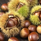 Саджанці каштану їстівного "Castanea sativa" 20-30 см