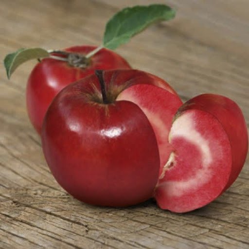 2201492386_sazhentsy-yabloni-sirena.jpg Саджанці яблуні "Сирена" - Зображення 1