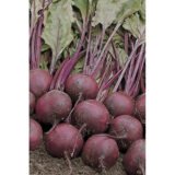 Водан F1 насіння буряка столового 2 г. - Зображення 3