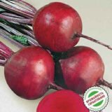 Гарольд насіння буряка столового (Lark Seeds) 3 г. - Зображення 3