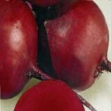 Гарольд насіння буряка столового (Lark Seeds) 3 г. - Зображення 2