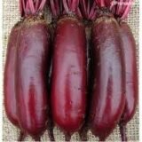 Буряк Столовий Карілон, 2 г - Зображення 3