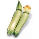 Кабачок Кавілі F1, 10 шт. (Власне фасування з оригінального упакування), (Nunhems). - Зображення 3