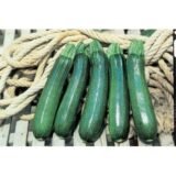 Тарміно F1 насіння цукіні (Clause) 5 шт - Зображення 3