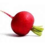 Насіння редиски Джоллі (Clause) 10г - Зображення 3