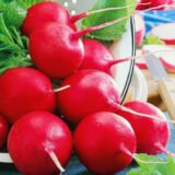 Насіння редиски Дієго F1 (Hazera) 3 г - Зображення 2