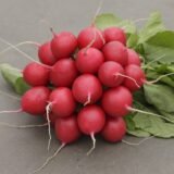 Редис Рудольф, 5 г. (Власне фасування з оригінального упакування), (Bejo Zaden). - Зображення 3