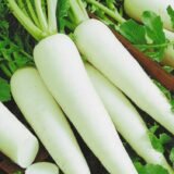 Насіння редьки Дайкон  (Satimex ) 3 г - Зображення 3