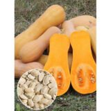 Арабатський насіння гарбуза (Україна СДБ) 10 г - Зображення 3