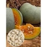 Волзький сірий насіння гарбуза (Україна) 10 г - Зображення 3