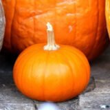 Народний насіння гарбуза (Украина) 10 г - Зображення 2