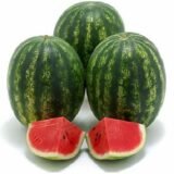 Крізбі F1 насіння кавуна ультрараннього (Nunhems) 8 шт - Зображення 2