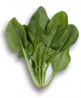 Боа F1 насіння шпинату (Rijk Zwaan) - Зображення 2