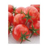Вернісаж червоний насіння помідор (Садиба центр) 0.1 г - Зображення 2
