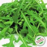 Рокет-салат насіння руколи (Hem Zaden) 10 г - Зображення 3