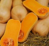 Арабатський насіння гарбуза (Україна СДБ) 10 г - Зображення 2