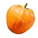 Гілея насіння гарбуза (Україна) 10 г - Зображення 3