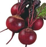 Болтарді насіння буряка столового (Syngenta) 200 шт - Зображення 3