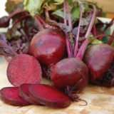 Болтарді насіння буряка столового (Syngenta) 200 шт - Зображення 2