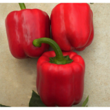 Актор F1 насіння перцю солодкого (Yuksel) 8 шт - Зображення 2