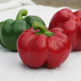 Біхар F1 насіння перцю солодкого (Lark Seeds) 8 шт - Зображення 2