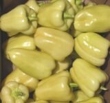 Блонді F1 насіння перцю солодкого (Syngenta) 8 шт - Зображення 3