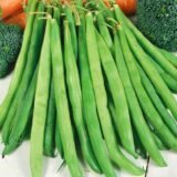 Кларон насіння квасолі спаржевої (Syngenta) 20 шт - Зображення 2