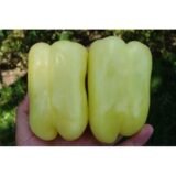 Нікіта F1 насіння перцю солодкого (Clause) 8 шт - Зображення 4