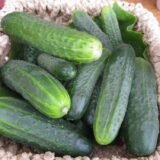 Огірок Гектор F1, 20 шт. (Власне фасування з оригінального упакування), (Nunhems).