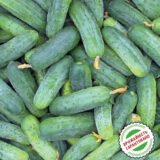 Огірок Гектор F1, 20 шт. (Власне фасування з оригінального упакування), (Nunhems). - Зображення 3