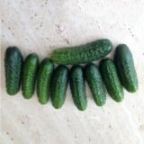 Огірок Анулька , 1гр.(Смачний) - Зображення 2