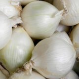 Білий Джамбо насіння цибулі ріпчастої (Atimeks) 1 г - Зображення 2