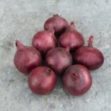 Ред Барон насіння цибулі ріпчастої (Bejo) 200 шт - Зображення 3