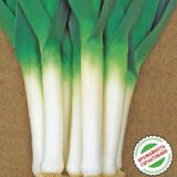 Порбелла насіння цибулі порей (Hazera) 100 шт - Зображення 3