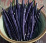 Квасоля овочева спаржева Перпл Квін (Професійне насіння ) 10 г, - Зображення 3