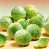 Амтрак F1 насіння капусти білоголової (Bejo) 20 шт - Зображення 3