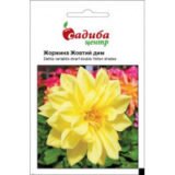 Жоржина Жовтий дим насіння (Hem Zaden) 0.1 г
