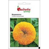 Соняшник Ведмежатко насіння (Hem Zaden) 1 г