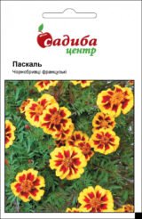 Чорнобривці Паскаль насіння  (Hem Zaden) 0.2 г