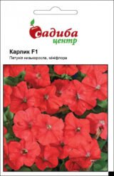 Петунія Карлик F1, червона, 10 гранул