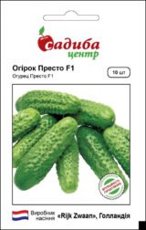 Престо F1 насіння огірка партенокарпічного (Rijk Zwaan) 10 шт