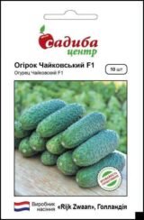Чайковський F1 насіння огірка партенокарпічного (Rijk Zwaan) 10 шт