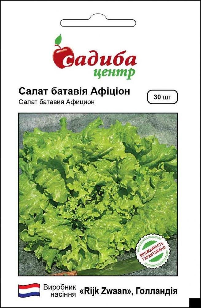 2896285341_afitsion-nasinnya-salatu.jpg Афіціон насіння салату (Rijk Zwaan) 30 шт - Зображення 1