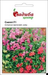 Снеппі F1 суміш насіння антірінума карликового (Hem Genetics) 20 шт