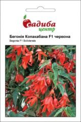 Копакабана F1 червона, насіння бегонії ампельної (Cerny) 10 шт