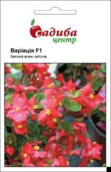 Варіація F1 бегонія вічноквітуча (Cerny) 10 шт