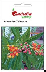 Асклепіас тубероза насіння (Hem Zaden)