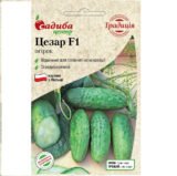Цезар F1 насіння огірка бджолозапильного (Традиція) 20 шт