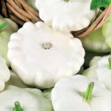 Патіна насіння патісону, 10 шт - Зображення 2