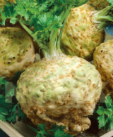 Аніта насіння селери кореневої (Satimex) 0.5 г - Зображення 2